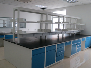 院校實驗室家具案（àn）例（lì）