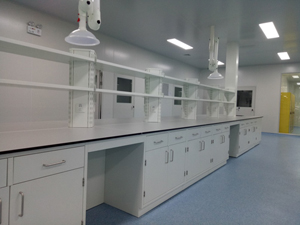 藥品（pǐn）行（háng）業（yè）實（shí）驗室家具案例（lì）