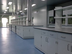 藥（yào）品行業實驗室家具案例