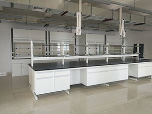 鋼木懸掛式（shì）實驗台