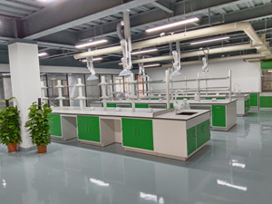 化學行業實驗（yàn）室（shì）家具案例