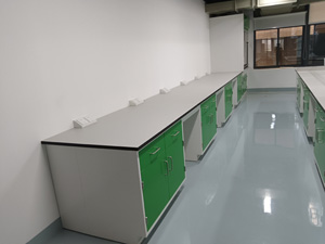 化學行業實（shí）驗室家具案例
