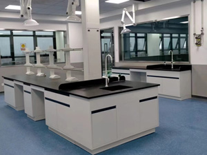 食品行業實（shí）驗室家（jiā）具案例