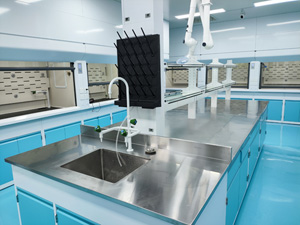 不（bú）鏽（xiù）鋼台麵全鋼實驗（yàn）台