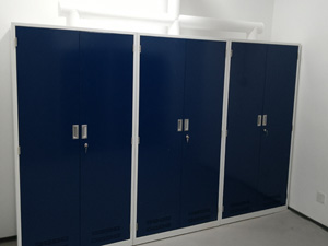 全鋼排風型試（shì）劑櫃900型